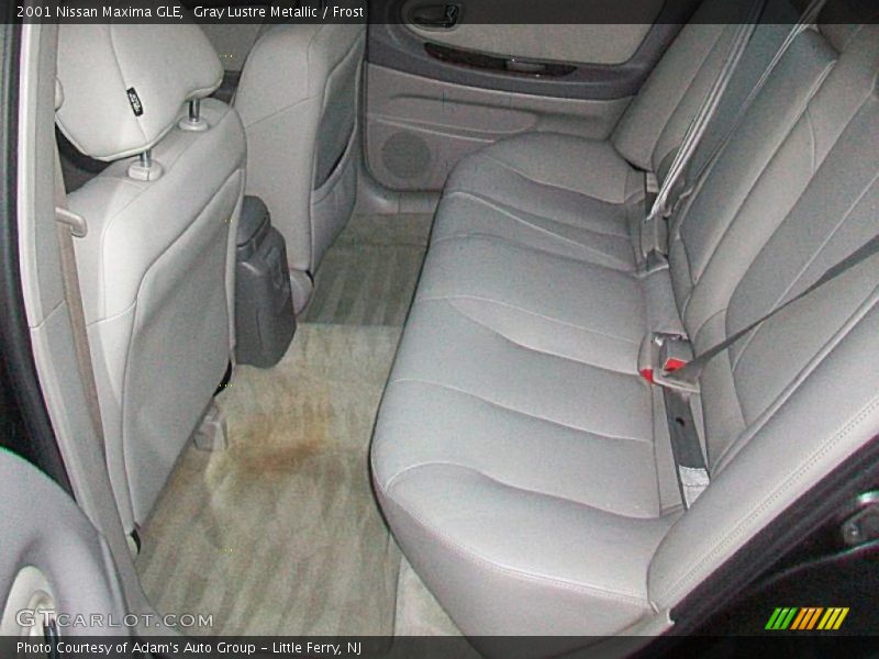 Gray Lustre Metallic / Frost 2001 Nissan Maxima GLE