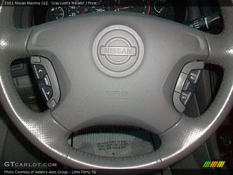 Gray Lustre Metallic / Frost 2001 Nissan Maxima GLE