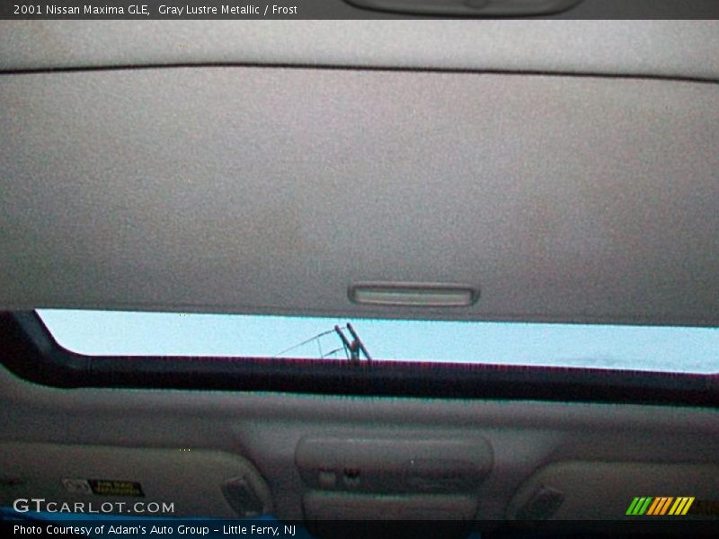 Gray Lustre Metallic / Frost 2001 Nissan Maxima GLE