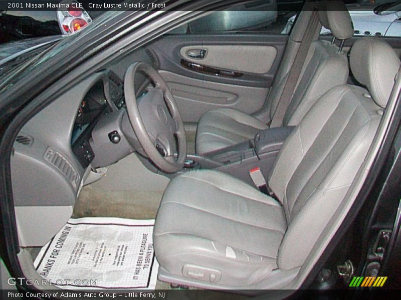 Gray Lustre Metallic / Frost 2001 Nissan Maxima GLE