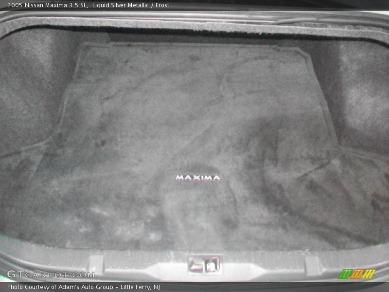 Liquid Silver Metallic / Frost 2005 Nissan Maxima 3.5 SL