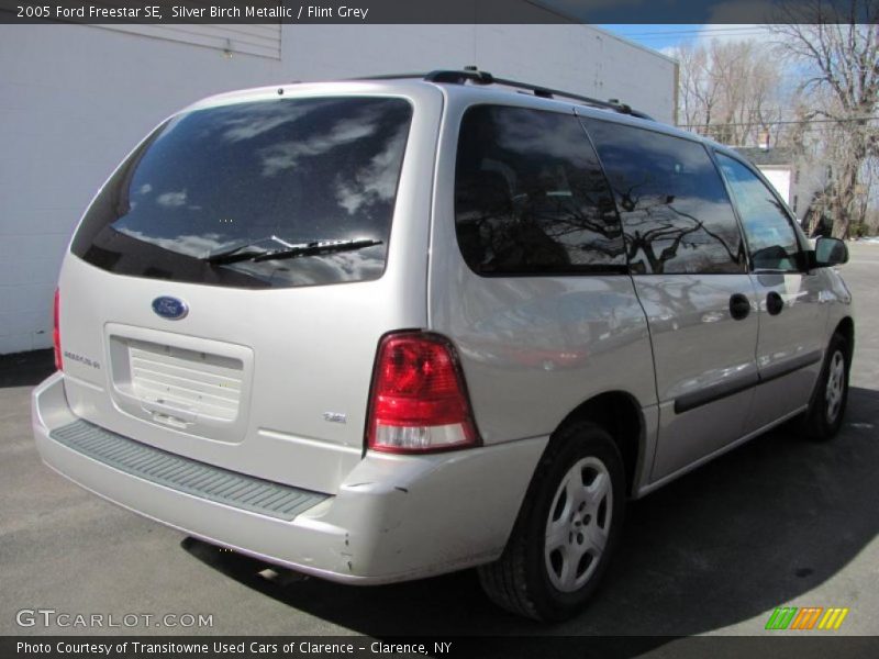 Silver Birch Metallic / Flint Grey 2005 Ford Freestar SE