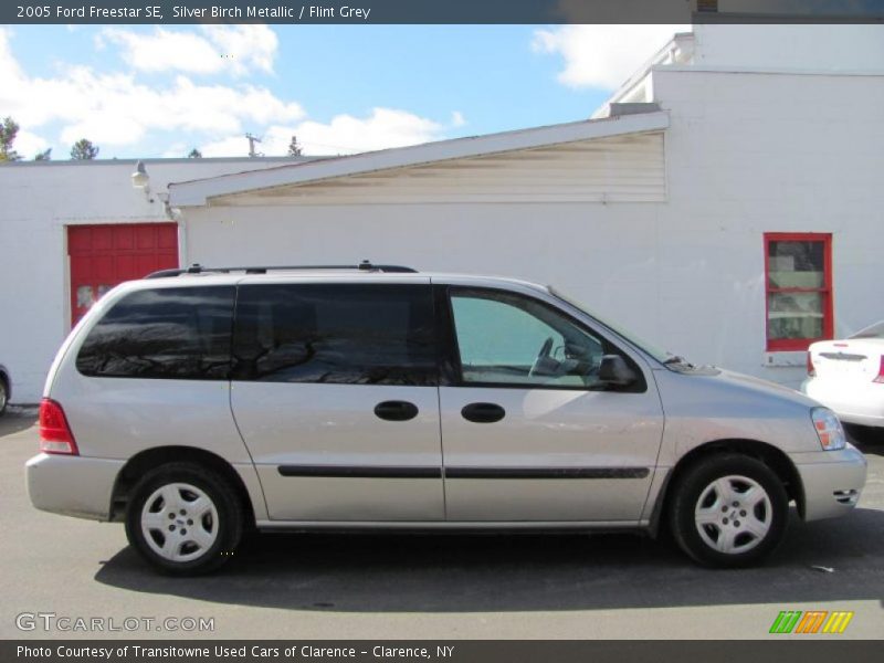 Silver Birch Metallic / Flint Grey 2005 Ford Freestar SE