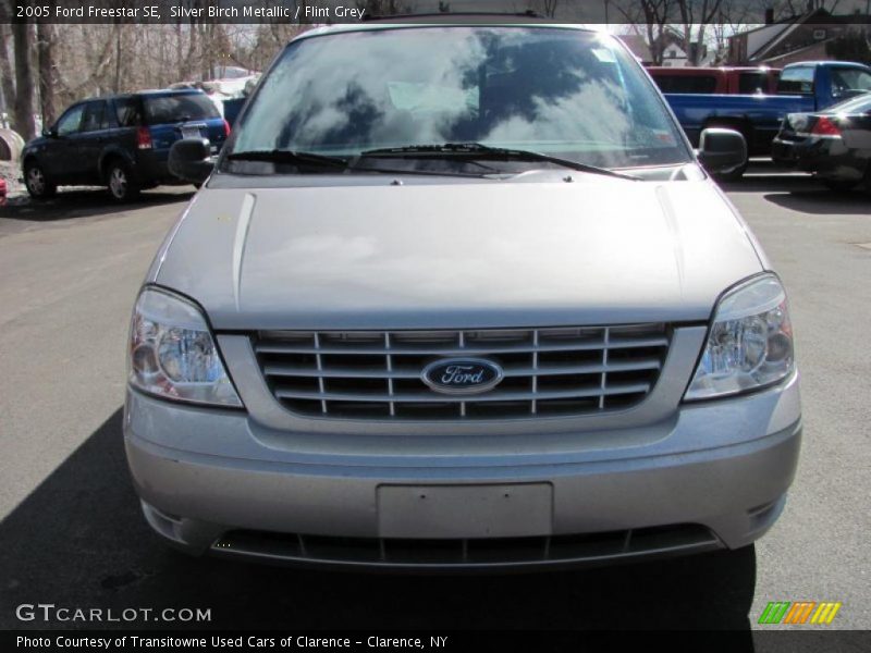 Silver Birch Metallic / Flint Grey 2005 Ford Freestar SE