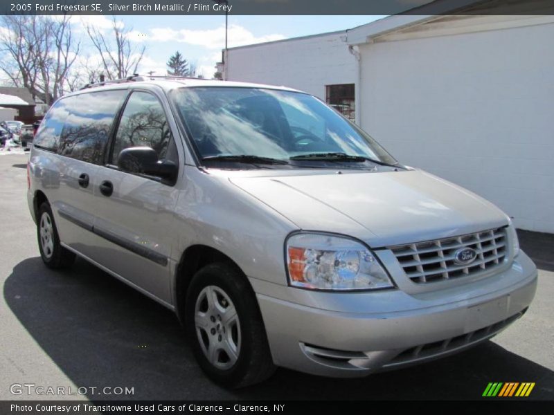 Silver Birch Metallic / Flint Grey 2005 Ford Freestar SE