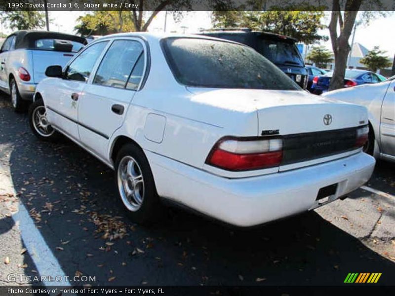 Super White / Gray 1996 Toyota Corolla 1.6