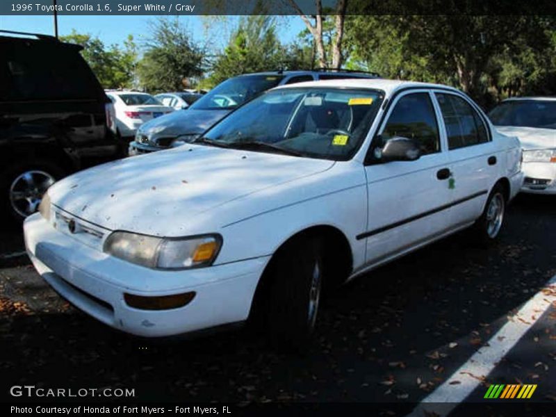 Super White / Gray 1996 Toyota Corolla 1.6