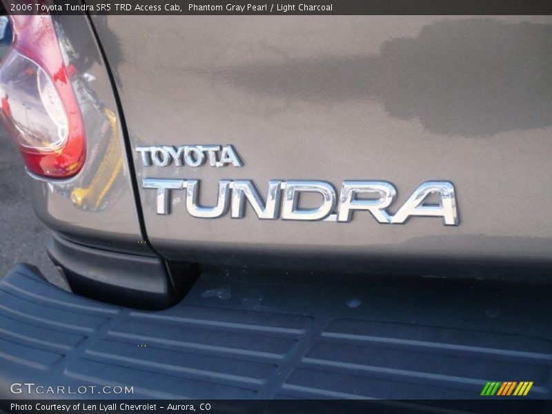 Phantom Gray Pearl / Light Charcoal 2006 Toyota Tundra SR5 TRD Access Cab