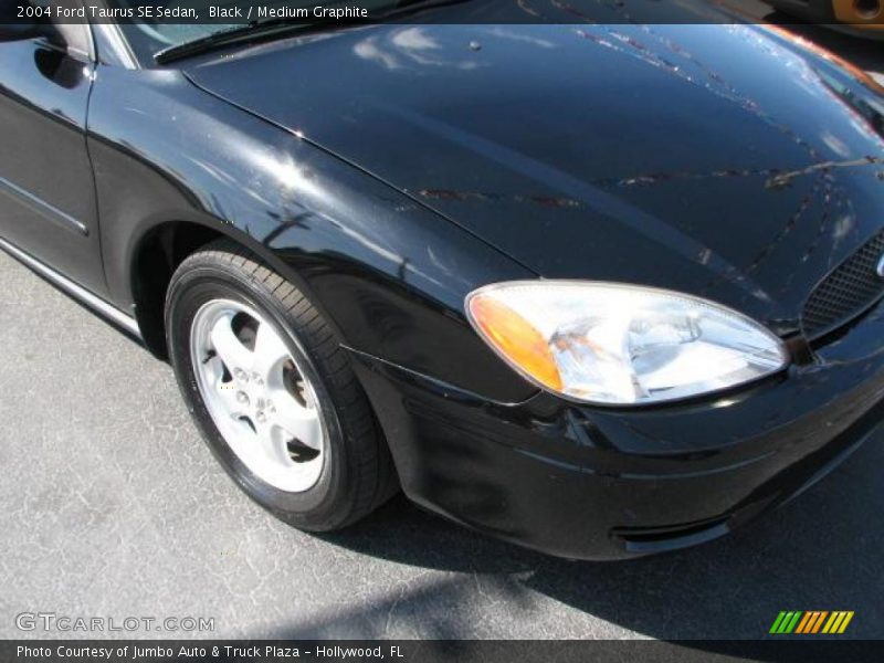 Black / Medium Graphite 2004 Ford Taurus SE Sedan