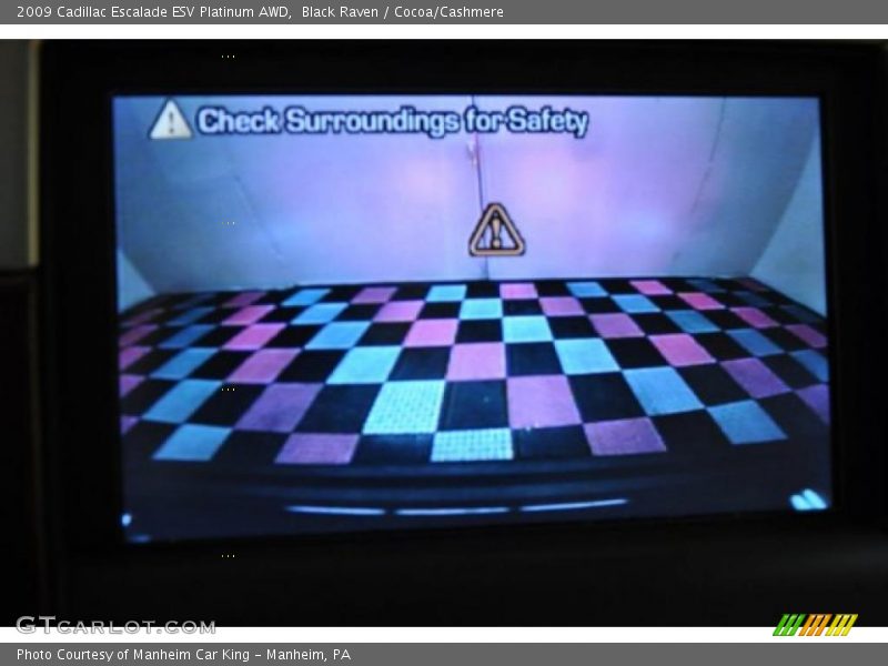 Black Raven / Cocoa/Cashmere 2009 Cadillac Escalade ESV Platinum AWD