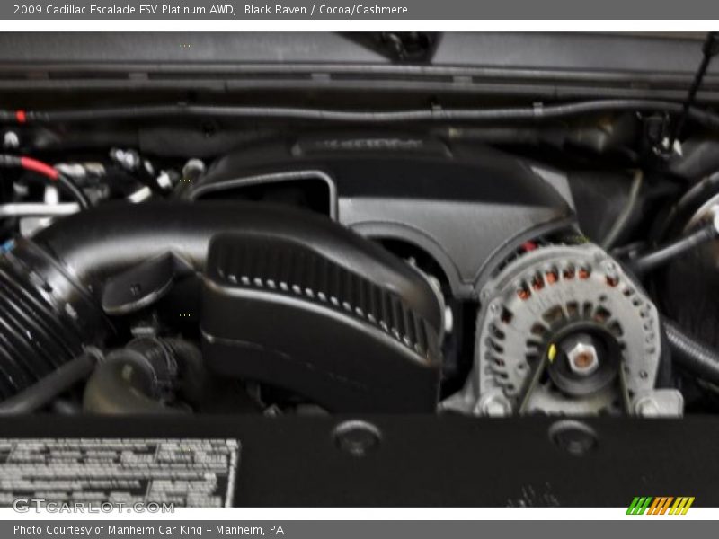 Black Raven / Cocoa/Cashmere 2009 Cadillac Escalade ESV Platinum AWD