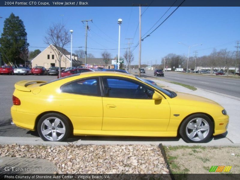 Yellow Jacket / Black 2004 Pontiac GTO Coupe