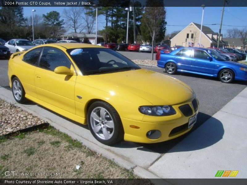 Yellow Jacket / Black 2004 Pontiac GTO Coupe