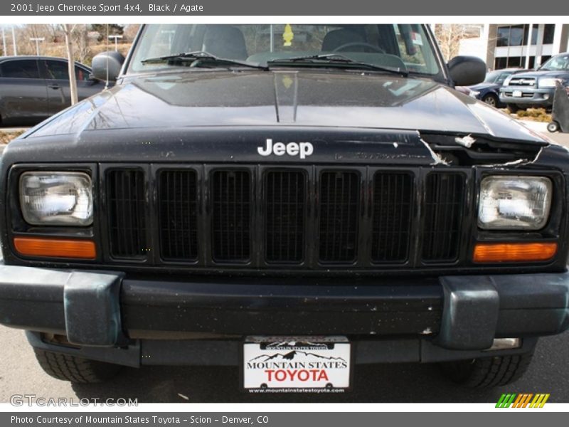 Black / Agate 2001 Jeep Cherokee Sport 4x4