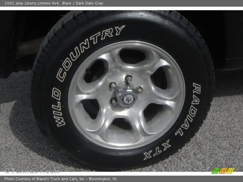Black / Dark Slate Gray 2002 Jeep Liberty Limited 4x4