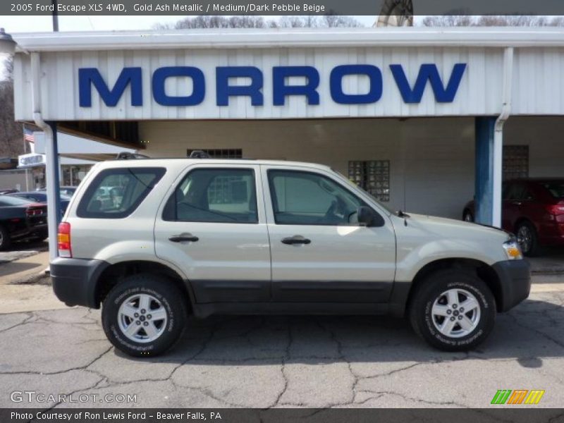 Gold Ash Metallic / Medium/Dark Pebble Beige 2005 Ford Escape XLS 4WD
