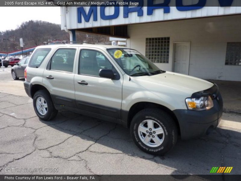Gold Ash Metallic / Medium/Dark Pebble Beige 2005 Ford Escape XLS 4WD