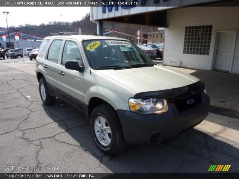 Gold Ash Metallic / Medium/Dark Pebble Beige 2005 Ford Escape XLS 4WD