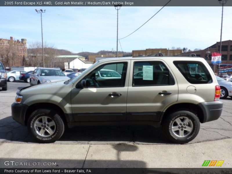 Gold Ash Metallic / Medium/Dark Pebble Beige 2005 Ford Escape XLS 4WD