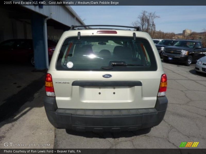 Gold Ash Metallic / Medium/Dark Pebble Beige 2005 Ford Escape XLS 4WD