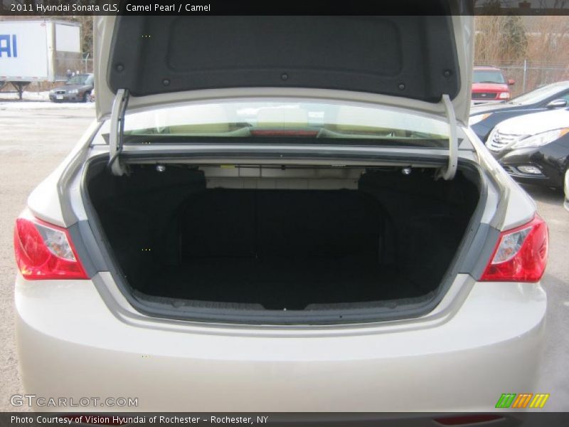 Camel Pearl / Camel 2011 Hyundai Sonata GLS