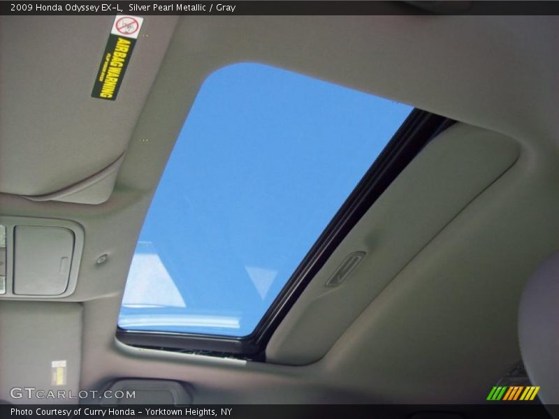 Silver Pearl Metallic / Gray 2009 Honda Odyssey EX-L