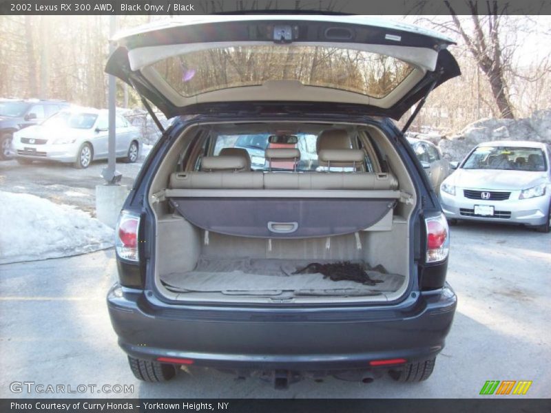 Black Onyx / Black 2002 Lexus RX 300 AWD