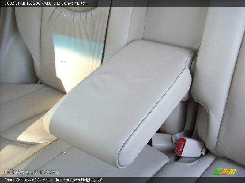 Black Onyx / Black 2002 Lexus RX 300 AWD