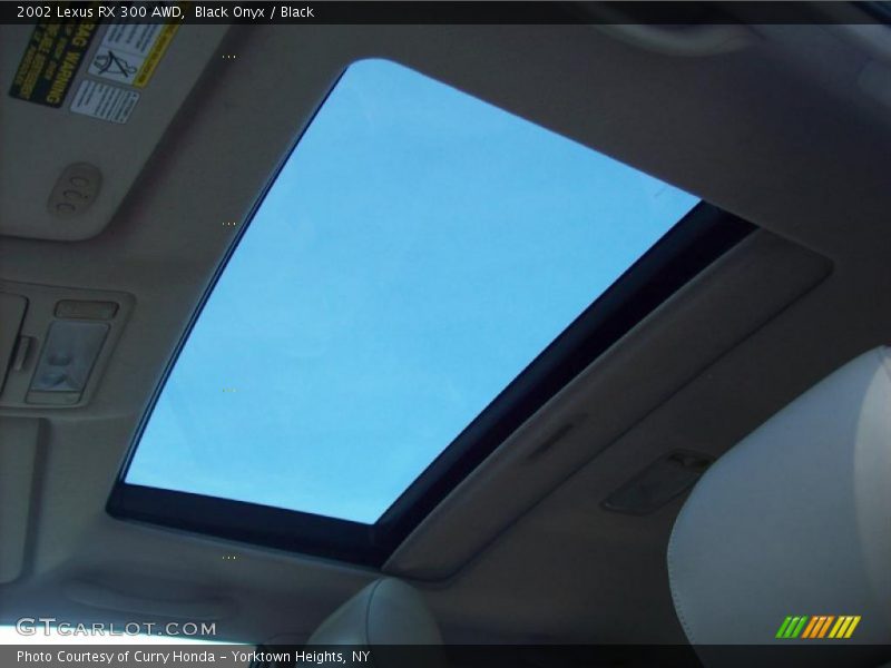 Black Onyx / Black 2002 Lexus RX 300 AWD