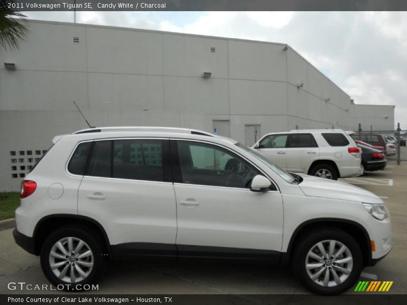 Candy White / Charcoal 2011 Volkswagen Tiguan SE