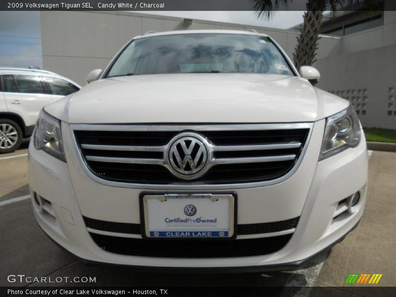 Candy White / Charcoal 2009 Volkswagen Tiguan SEL
