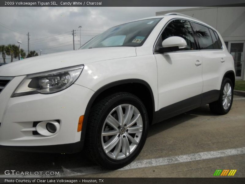 Candy White / Charcoal 2009 Volkswagen Tiguan SEL
