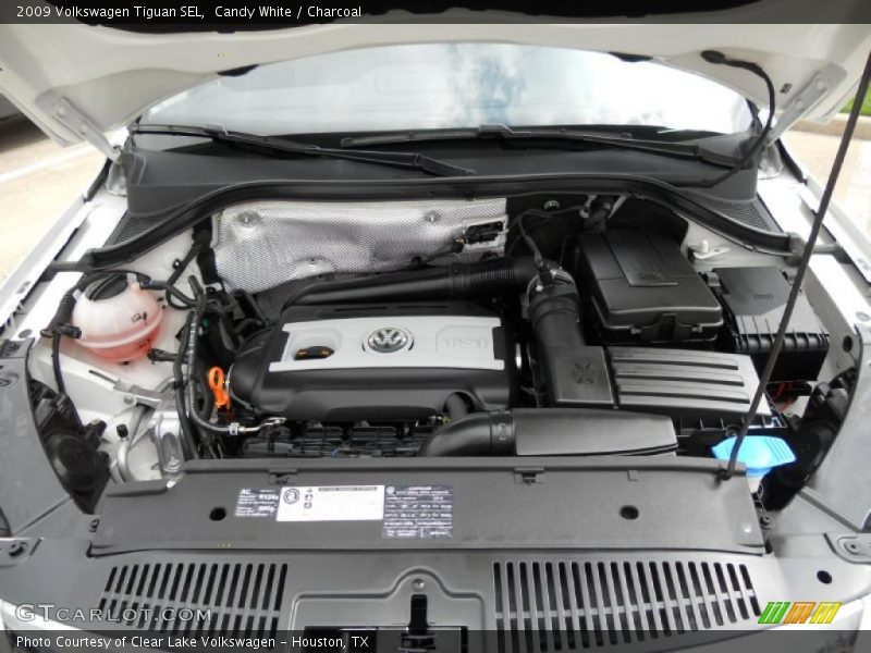 Candy White / Charcoal 2009 Volkswagen Tiguan SEL
