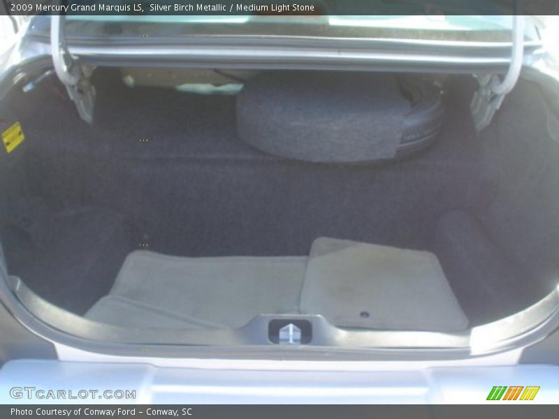 Silver Birch Metallic / Medium Light Stone 2009 Mercury Grand Marquis LS