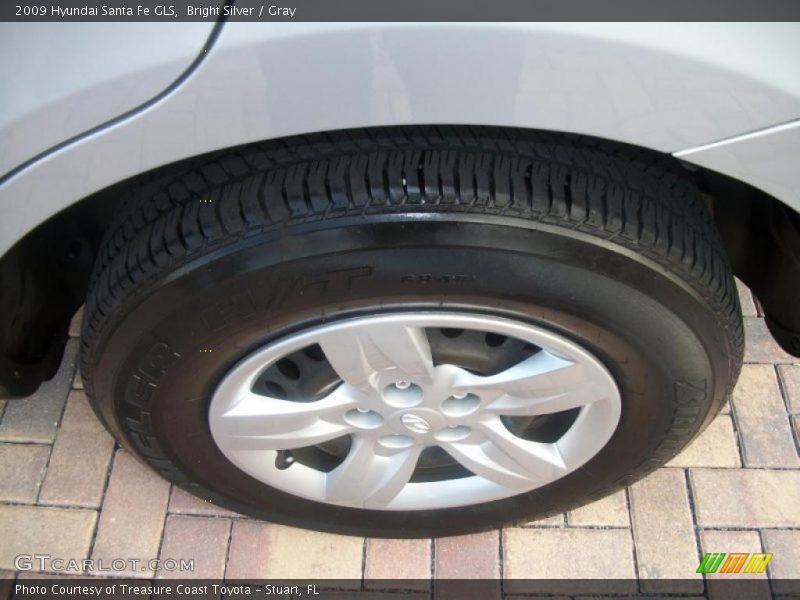 Bright Silver / Gray 2009 Hyundai Santa Fe GLS