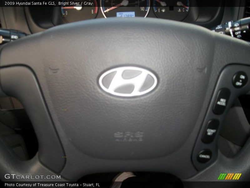 Bright Silver / Gray 2009 Hyundai Santa Fe GLS