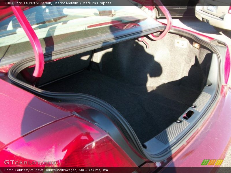 Merlot Metallic / Medium Graphite 2004 Ford Taurus SE Sedan