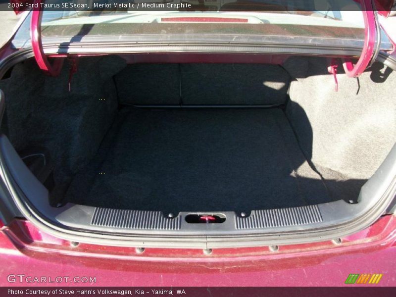 Merlot Metallic / Medium Graphite 2004 Ford Taurus SE Sedan