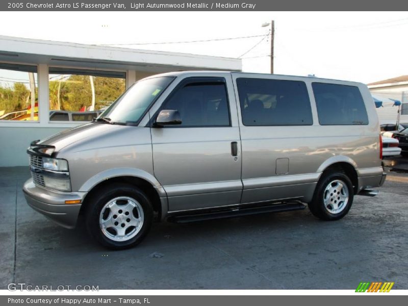 Light Autumnwood Metallic / Medium Gray 2005 Chevrolet Astro LS Passenger Van