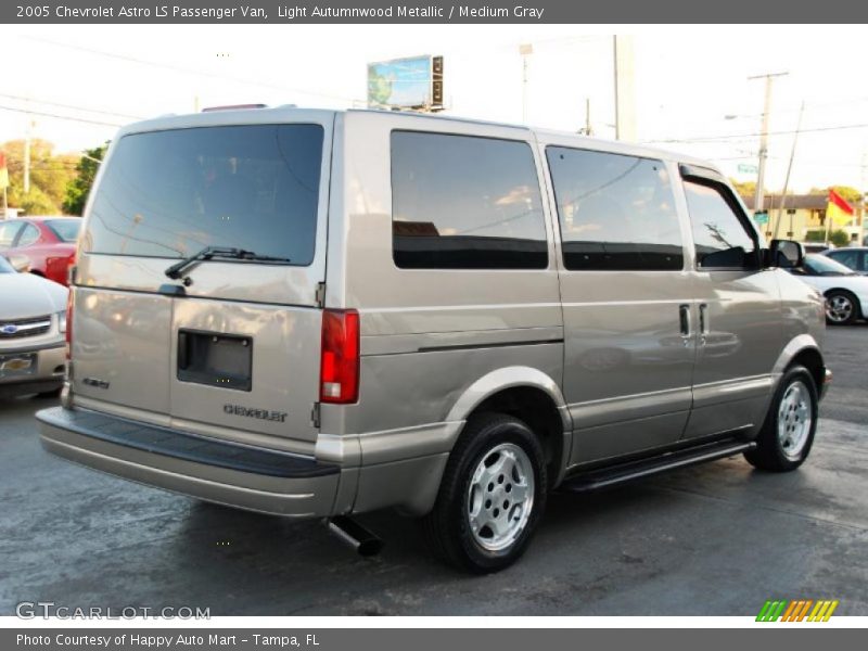 Light Autumnwood Metallic / Medium Gray 2005 Chevrolet Astro LS Passenger Van