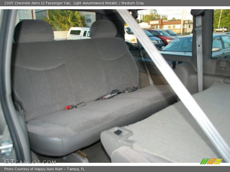 Light Autumnwood Metallic / Medium Gray 2005 Chevrolet Astro LS Passenger Van