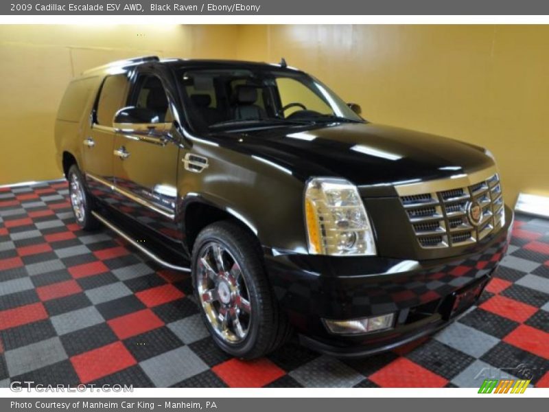 Black Raven / Ebony/Ebony 2009 Cadillac Escalade ESV AWD