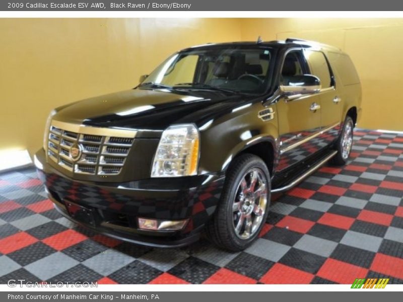 Black Raven / Ebony/Ebony 2009 Cadillac Escalade ESV AWD