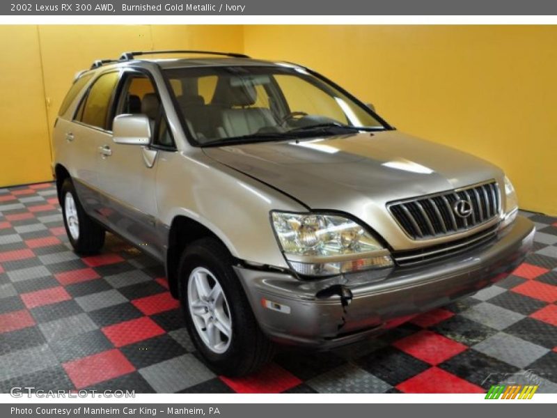 Burnished Gold Metallic / Ivory 2002 Lexus RX 300 AWD