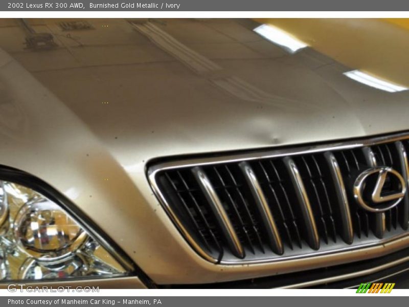 Burnished Gold Metallic / Ivory 2002 Lexus RX 300 AWD