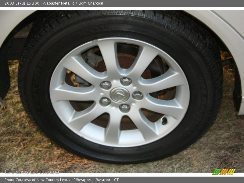 Alabaster Metallic / Light Charcoal 2003 Lexus ES 300