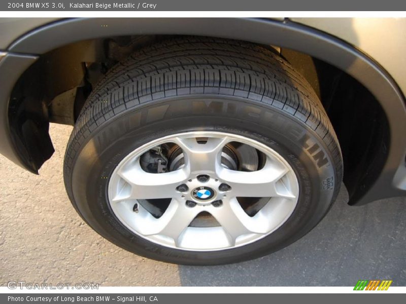 Kalahari Beige Metallic / Grey 2004 BMW X5 3.0i