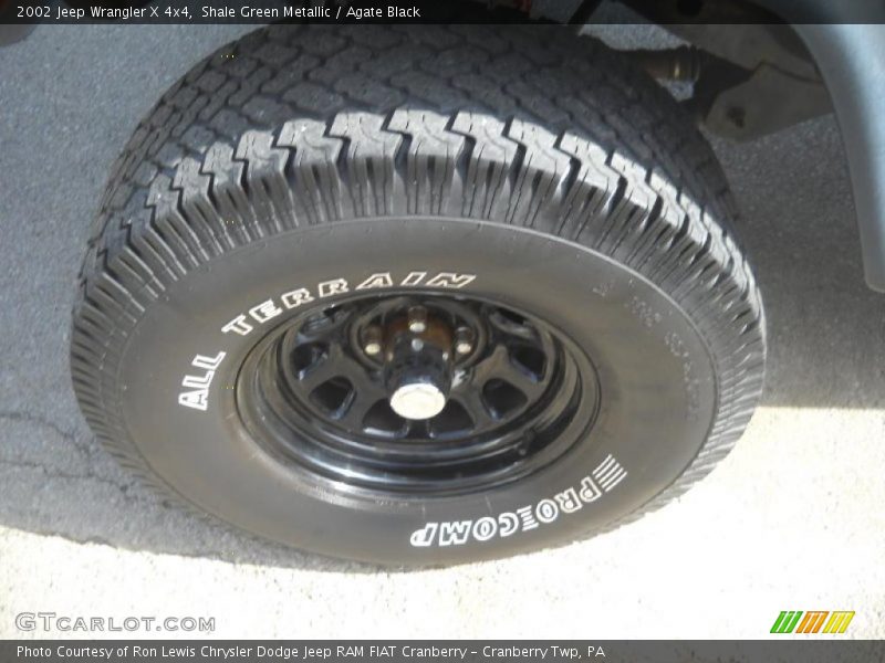 Shale Green Metallic / Agate Black 2002 Jeep Wrangler X 4x4