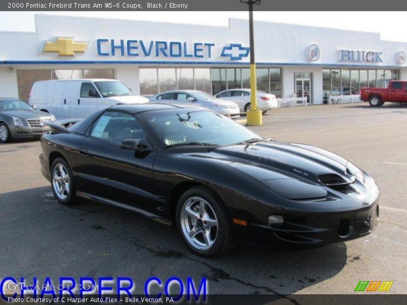 Black / Ebony 2000 Pontiac Firebird Trans Am WS-6 Coupe