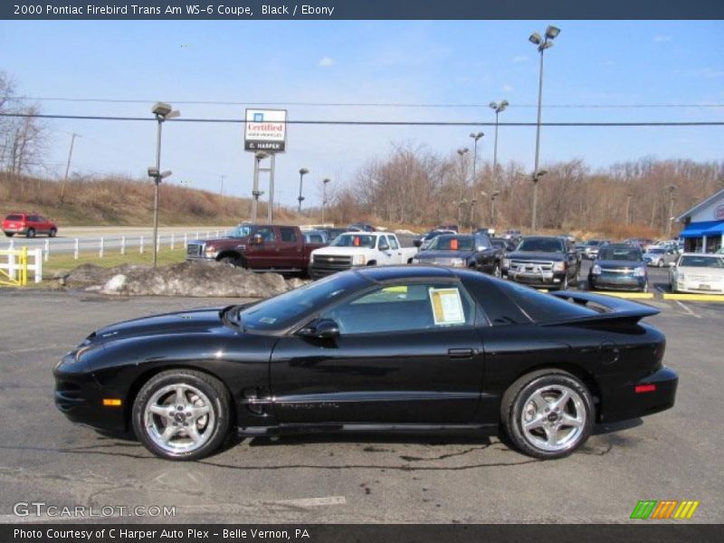  2000 Firebird Trans Am WS-6 Coupe Black